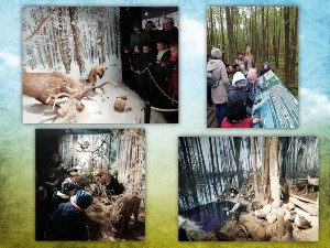 �����������