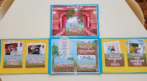 �����������