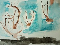 �����������