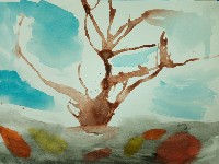 �����������