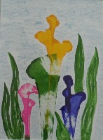 �����������